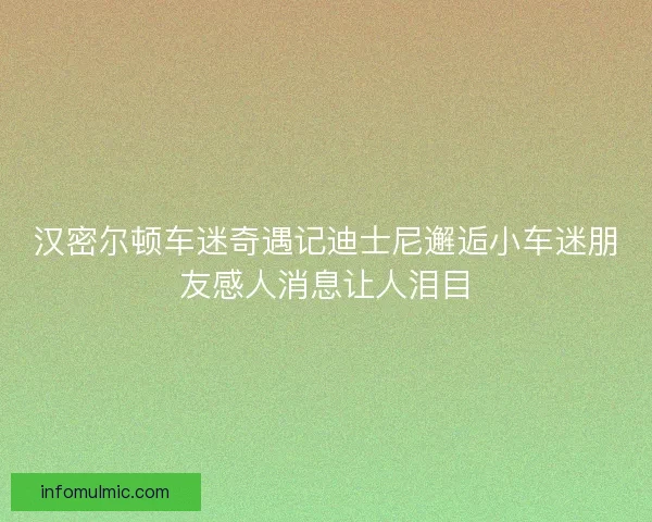汉密尔顿车迷奇遇记迪士尼邂逅小车迷朋友感人消息让人泪目 汉密尔顿车迷奇遇记迪士尼邂逅小车迷朋友感人消息让人泪目